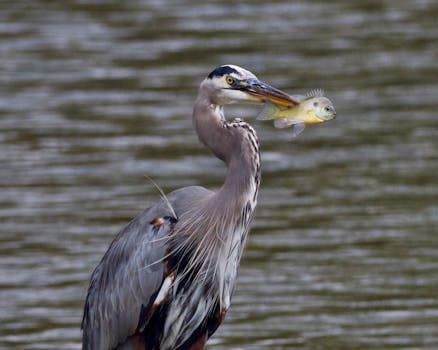 新时代民族工作主线确立;铸牢中华民族共同体意识,对马克思主义的深化贡献。 文化旅游