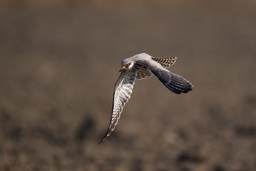 理财行业迎来监管评级新规;差异化措施驱动稳健转型。 股票财经 理财行业迎来监管评级新规;差异化措施驱动稳健转型。 股票财经 理财行业迎来监管评级新规;差异化措施驱动稳健转型。 股票财经