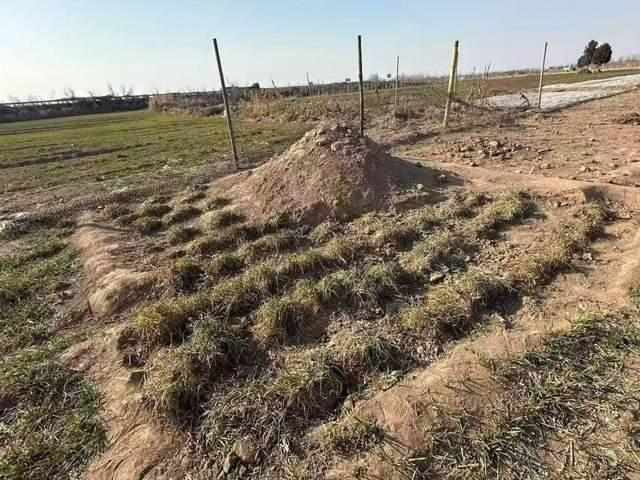  亲大伯埋炸药致三侄女生离；幸存妹妹直播求公道，却遇连续恐吓。 新闻 亲大伯埋炸药致三侄女生离；幸存妹妹直播求公道，却遇连续恐吓。 新闻 亲大伯埋炸药致三侄女生离；幸存妹妹直播求公道，却遇连续恐吓。 新闻 亲大伯埋炸药致三侄女生离；幸存妹妹直播求公道，却遇连续恐吓。 新闻 亲大伯埋炸药致三侄女生离；幸存妹妹直播求公道，却遇连续恐吓。 新闻