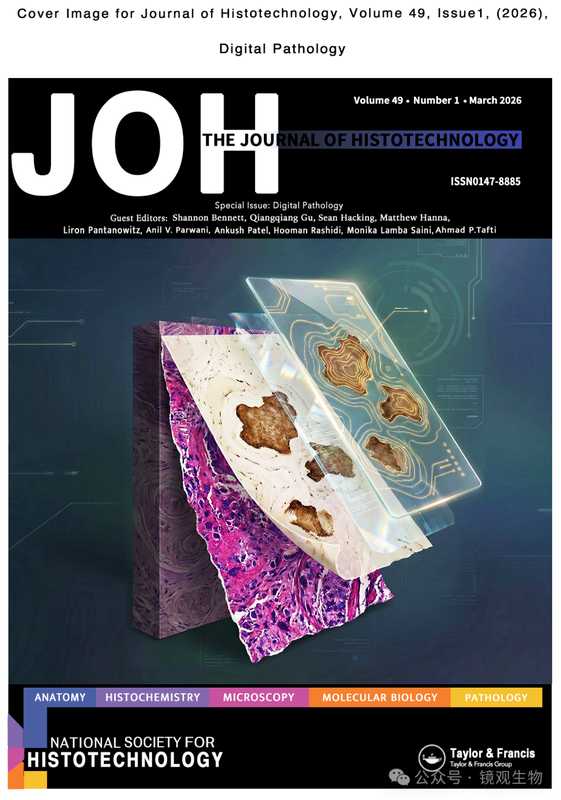  当梦想遭遇现实瓶颈，科技孵化如何成为破局的避风港 情感心理