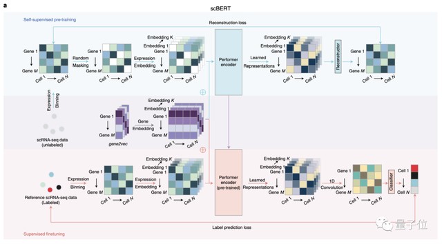  针对肿瘤研究的认知局限：引入深度神经网络重塑诊断精度 新闻 针对肿瘤研究的认知局限：引入深度神经网络重塑诊断精度 新闻 针对肿瘤研究的认知局限：引入深度神经网络重塑诊断精度 新闻