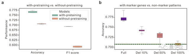  针对肿瘤研究的认知局限：引入深度神经网络重塑诊断精度 新闻 针对肿瘤研究的认知局限：引入深度神经网络重塑诊断精度 新闻 针对肿瘤研究的认知局限：引入深度神经网络重塑诊断精度 新闻