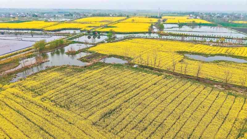 【景点滤镜粉碎】春季赏花不要只看热搜推荐