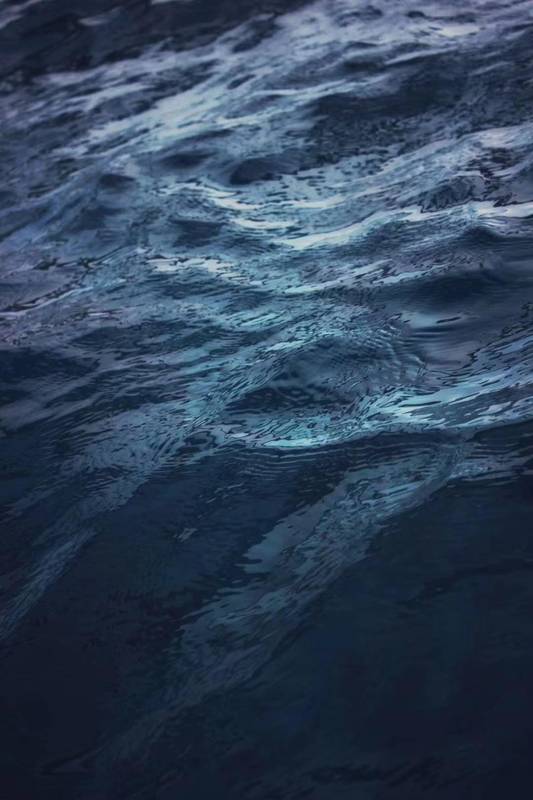  【投资内参】避险资产配置指南：如何看懂震荡市的资金流向？ 情感心理