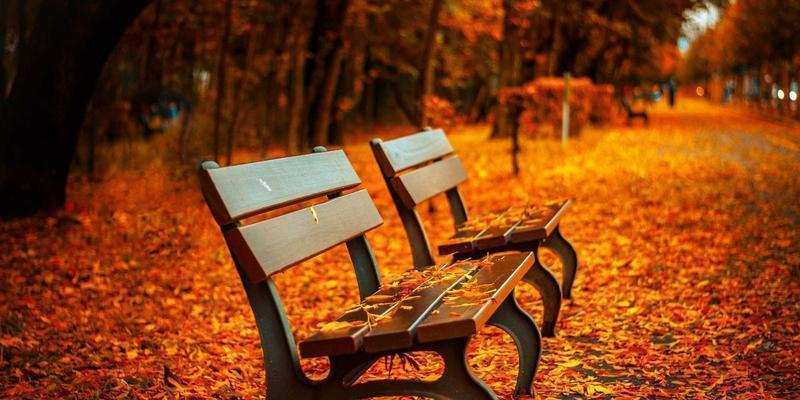  激光雷达下探至8万级：零跑A10背后的技术路线与成本重构 汽车科技