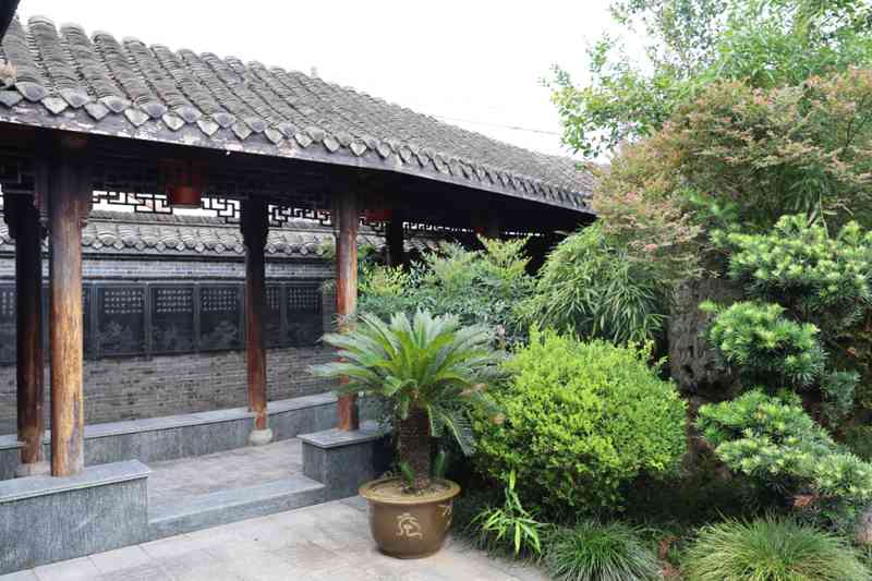 穿越六百年的相遇:我在古镇书房找回丢失已久的宁静 情感心理