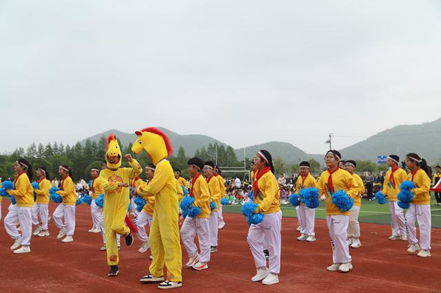  从入场仪式到精神图谱：宁阳学校运动会开幕式的教育价值深度解构 教育招生
