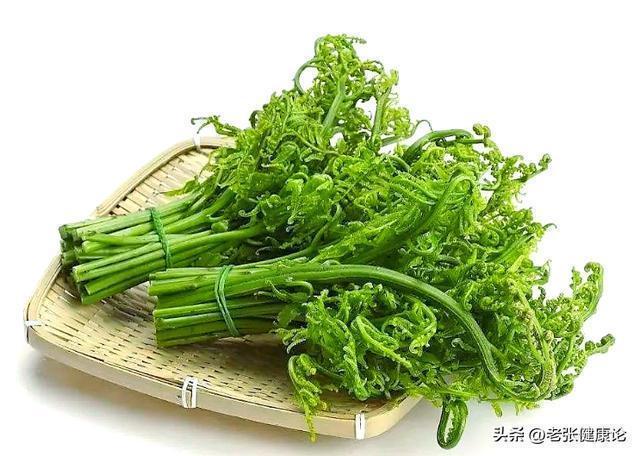  【深度拆解】蔬菜“致癌”传言的底层逻辑：从流行病学数据看风险真相 健康养生