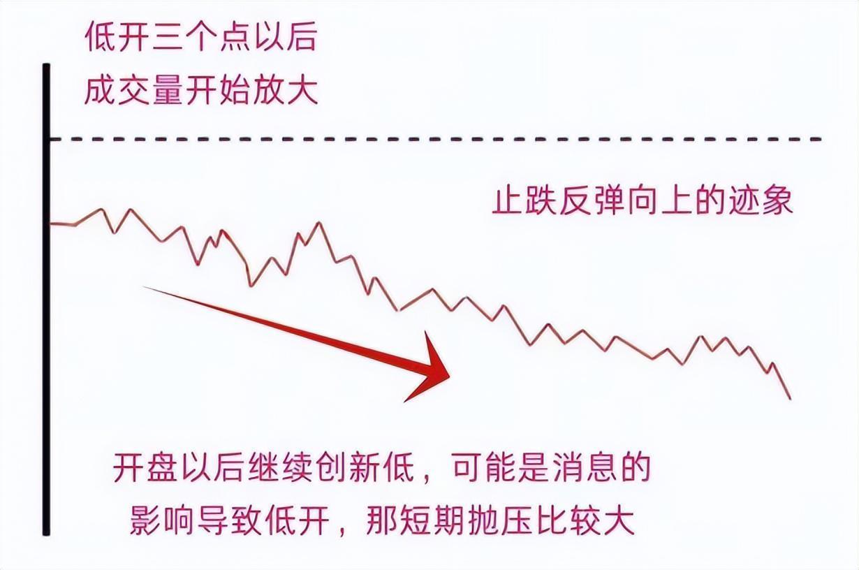  【深度复盘】从鳄鱼法则到系统化止损：我用五年亏损换来的风控体系 股票财经