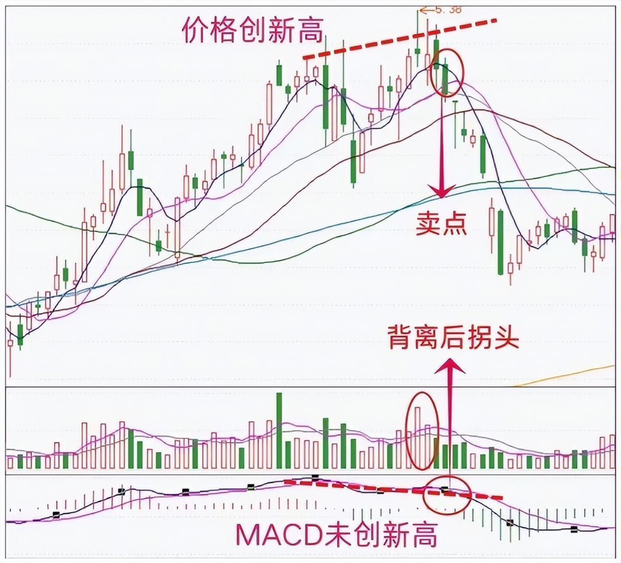  【深度复盘】从鳄鱼法则到系统化止损：我用五年亏损换来的风控体系 股票财经