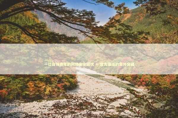 一位白领青年的网络安全困扰 + 官方渠道的意外突破