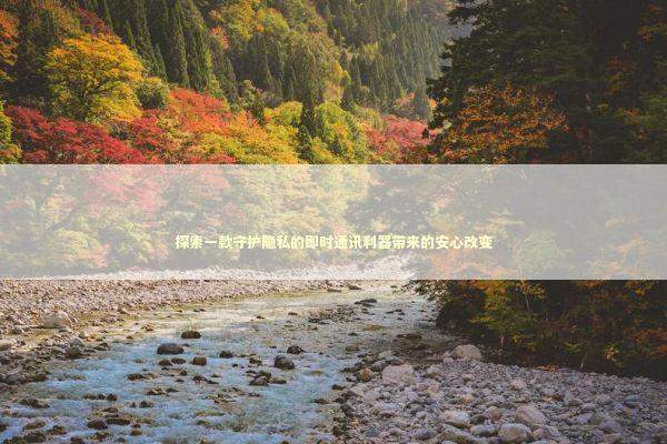 探索一款守护隐私的即时通讯利器带来的安心改变