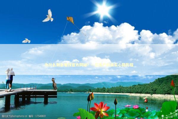 为什么别急着找官方网站？一位用户的真实心路历程 IT技术