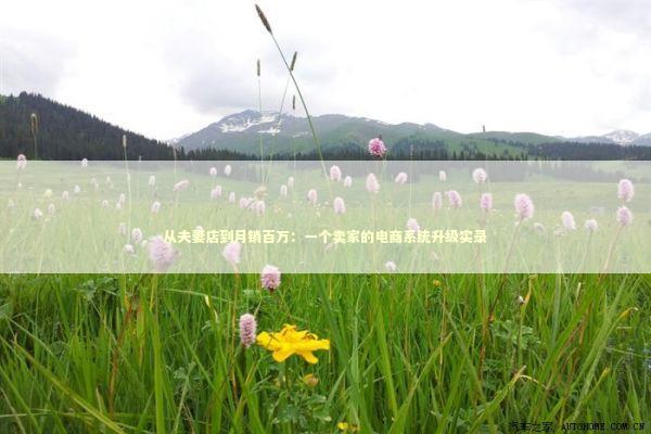 从夫妻店到月销百万：一个卖家的电商系统升级实录 IT技术
